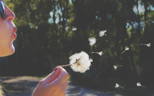 Close-up of woman holding dandelion flower