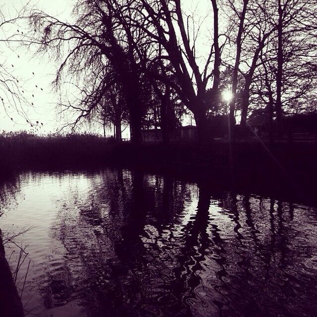 water, reflection, tree, bare tree, silhouette, lake, tranquility, branch, river, tranquil scene, nature, waterfront, beauty in nature, scenics, sky, sun, sunlight, rippled, outdoors, no people