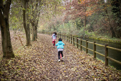 Rear view of woman walking in forest