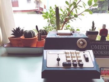 Close-up of potted plant on table