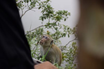 Close-up of young man looking away