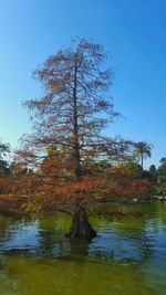 Scenic view of calm lake against clear sky