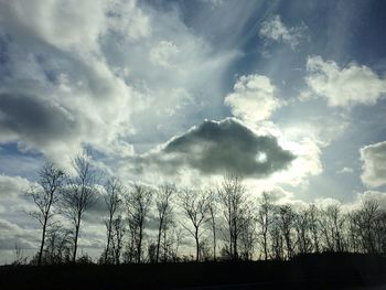 Low angle view of silhouette trees against sky