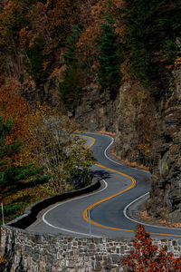 High angle view of road amidst trees during autumn