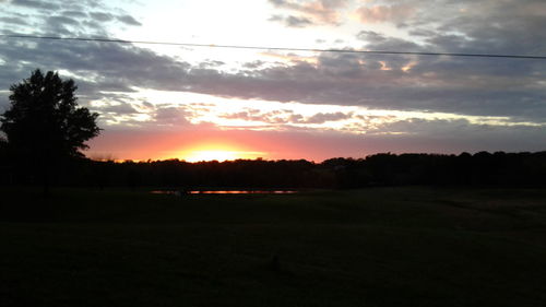 Silhouette trees on field against sky at sunset