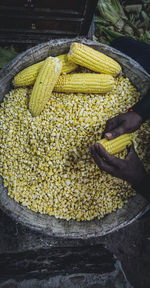 Low section of person with vegetables