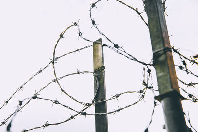 Low angle view of barbed wire against sky