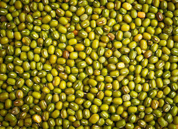 Full frame shot of green beans