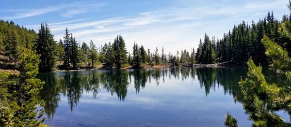 Scenic view of lake by trees against sky