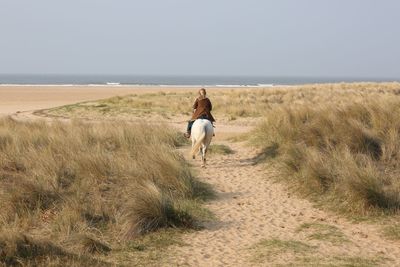 Rear view of woman with horse on the ground