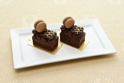 Close-up of chocolate pastry served in tray