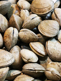 Full frame shot of nuts