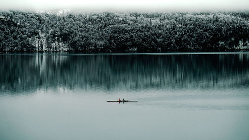 Scenic view of lake in forest