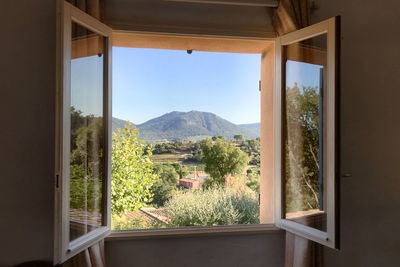 Trees and plants seen through window