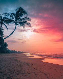 Scenic view of beach against sky during sunset