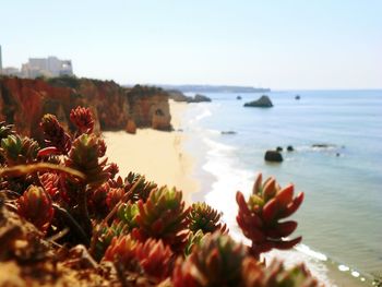 Scenic view of sea against clear sky