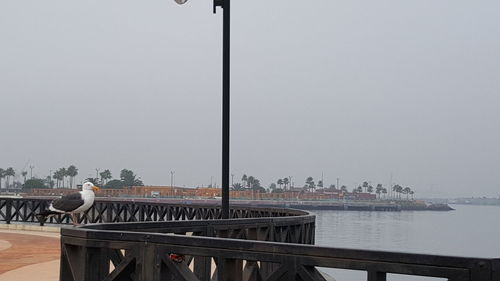 Bridge over city against clear sky