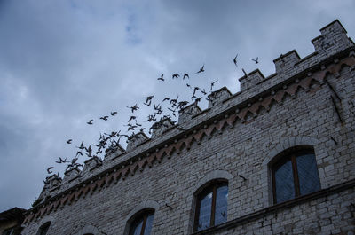 Low angle view of birds flying against building