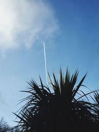 Low angle view of silhouette tree against sky