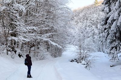 Man standing on snow covered trees against sky