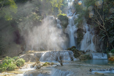 Waterfall in forest