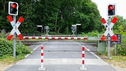 Railway signal against trees