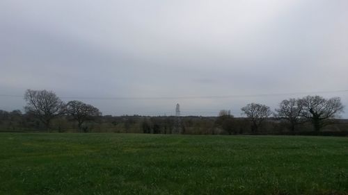 Scenic view of grassy field against sky