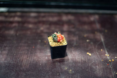 Close-up of ice cream on table