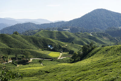 Scenic view of agricultural landscape against sky