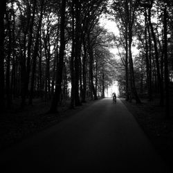 Man walking on road amidst trees in forest