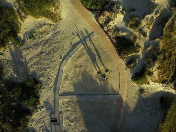 High angle view of trees on landscape