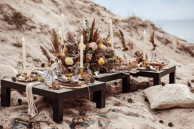 Potted plants on table at beach