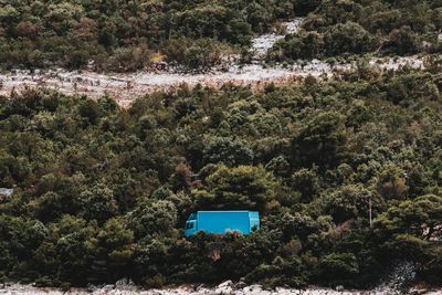 High angle view of trees by plants in forest