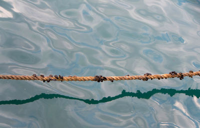 High angle view of ropes on lake