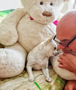 Portrait of mature man playing with dog on bed at home