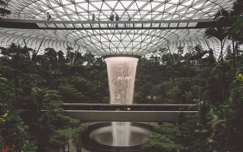 Metal structure in greenhouse