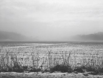 Scenic view of agricultural field against sky during winter