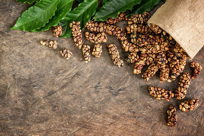 High angle view of coffee beans on plant