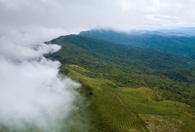 Scenic view of landscape against sky