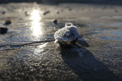 Close-up of snow on beach