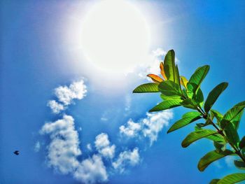 Low angle view of trees against blue sky