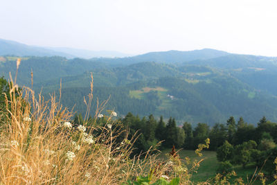 Scenic view of landscape and mountains against sky