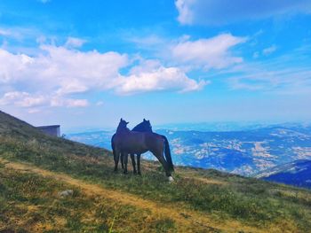 Horses on field against sky