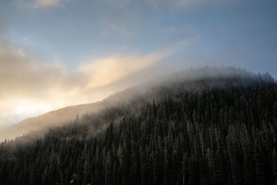 Stunning morning mist over mountain	