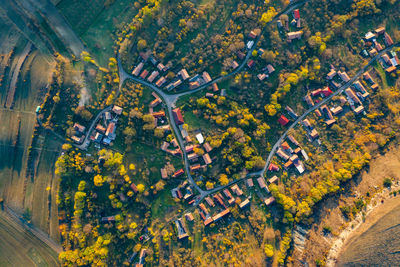 Aerial view of trees and buildings in town