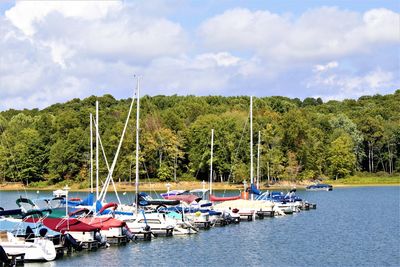 Scenic view of sailboats moored by trees against sky