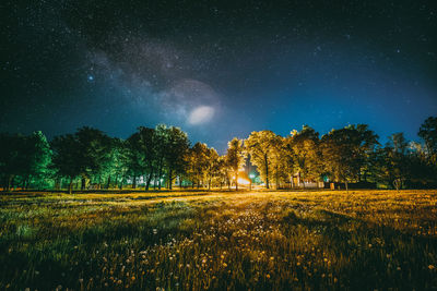 Trees on field against sky at night