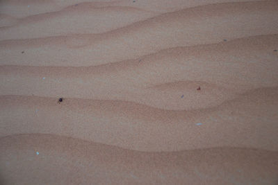 Close-up of sand