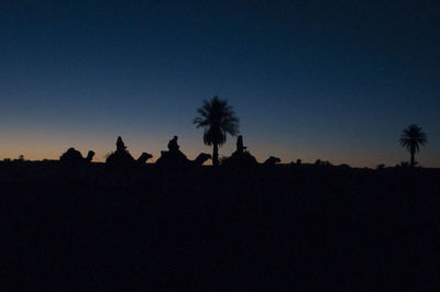 Silhouette of trees against blue sky