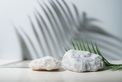 Close-up of medicines on table